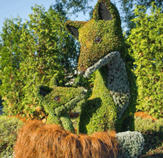 MosaiCanada Fox