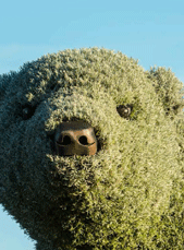 MosaiCanada Polar Bear