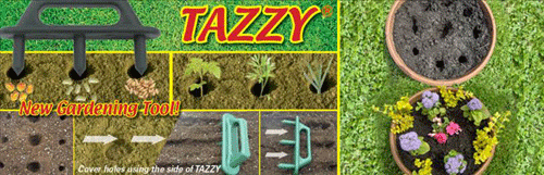 Garden Tazzy