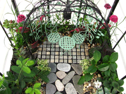 Fairy Gardening
