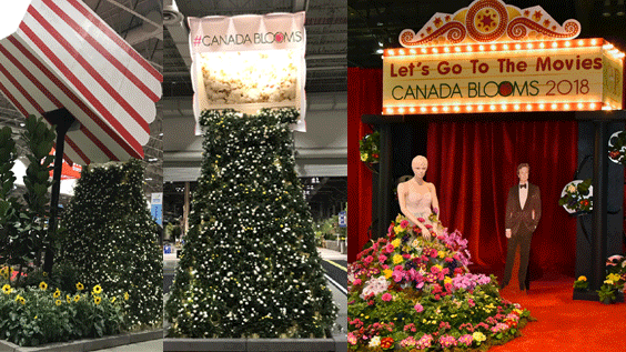 Blooms 2018 Popcorn Box & Marquee