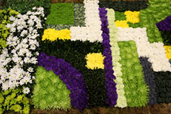 Toronto Flower Show Floral Carpet