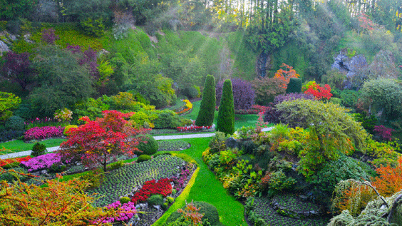 Butchart Gardens