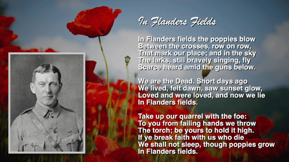 In Flanders Fields