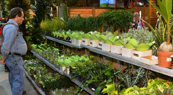 Marketplace Plant Booth