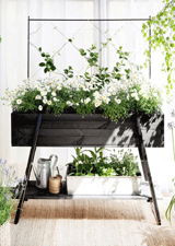Mini Garden - Indoor raised bed