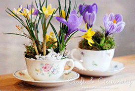 Mini Garden - Tea Cups