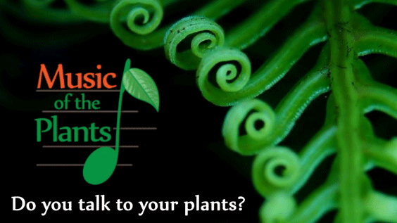 Music of Plants