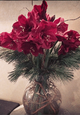 Opening Night Bouquet