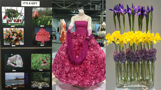 TFS Competition at Canada Blooms