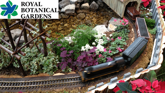 RBG Train Show