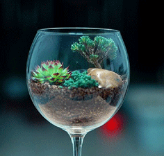 Mini Garden Wine Glass