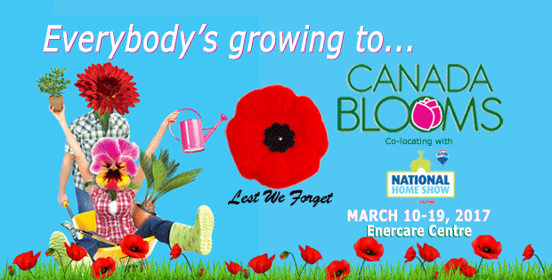 Canada Blooms Header
