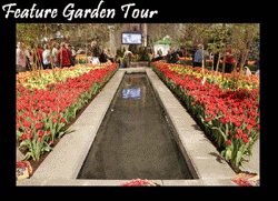 Beautiful Gardens