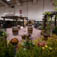 Reif Sensory Wine Garden by Mori Gardens