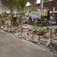 Ecoman/Victoria Taylor