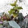 Ecoman/Victoria Taylor