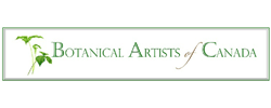 Botanical Artists