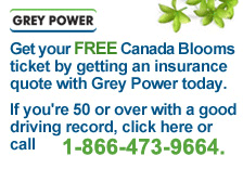 Grey Power Offer