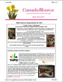 Group Tour December 2011 Newsletter