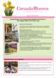 Group Tour July 2011 Newsletter