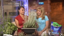 Senga Lindsay Video