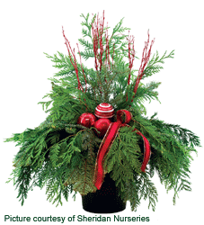 Holiday Container