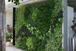 Bin Fen Green Walls
