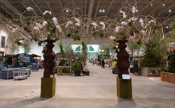 Toronto Flower Show 2012