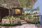 Sarah Harmer Garden by Oriole - julesdesign.ca