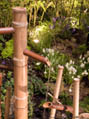 2011 Garden - Julesdesign.ca