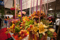Pick Ontario Flowers
