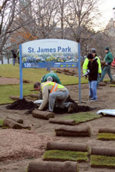 St. James Park