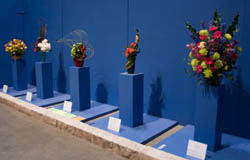 2013 Garden Hall Competition