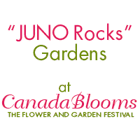 Juno Rocks Gardens