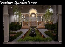 Early Morning Tours