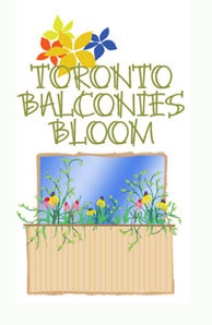 Toronto Balconies Bloom